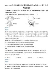 甘肃省兰州市城关区志成中学2024-2025学年九年级上学期第一次月考数学试卷（解析版）-A4