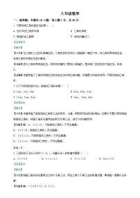 广东省东莞南城中学2024-2025学年八年级上学期月考数学试卷（解析版）-A4