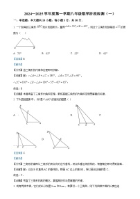 广东省阳江职业技术学院附属实验学校2024-2025学年八年级上学期第一次月考数学试题（解析版）-A4