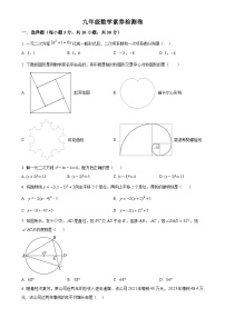 湖北省武汉市粮道街中学2024-2025学年九年级上学期11月期中考试数学试题（原卷版）-A4