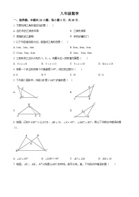 广东省东莞南城中学2024-2025学年八年级上学期月考数学试卷（原卷版）-A4