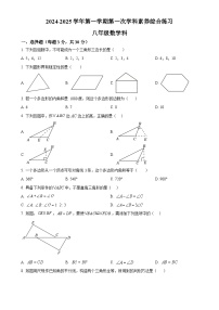 广东省江门市蓬江区杜阮镇杜阮中心初级中学2024-2025学年八年级上学期第一次月考数学试题（原卷版）-A4