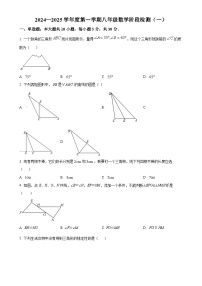 广东省阳江职业技术学院附属实验学校2024-2025学年八年级上学期第一次月考数学试题（原卷版）-A4