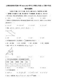 云南省曲靖市民族中学2024-2025学年上学期九年级11月期中考试数学试题卷（原卷版）-A4