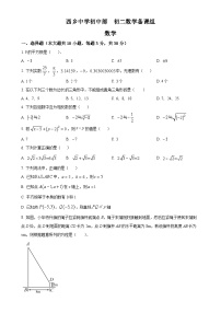 广东省深圳市西乡中学2024-2025学年八年级上学期第一次月考数学试卷（原卷版）-A4