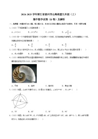 浙江省宁波市“山海联盟”协作学校2024-2025学年上学期期中学情调研九年级数学试题（B卷）