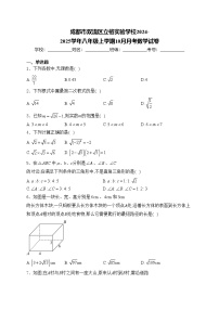 成都市双流区立格实验学校2024-2025学年八年级上学期10月月考数学试卷(含答案)