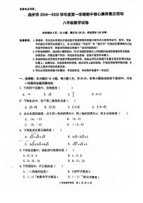 广东省清远市连州市2024-2025学年上学期期中考试八年级数学试卷