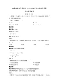 2023~2024学年山东省青岛市城阳区九年级(上)期中数学试卷(解析版)