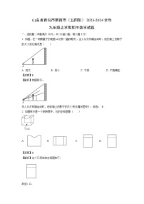 2023~2024学年山东省青岛市莱西市(五四制)九年级(上)期中数学试卷(解析版)