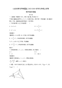 2023~2024学年山东省青岛市即墨区九年级(上)期中数学试卷(解析版)