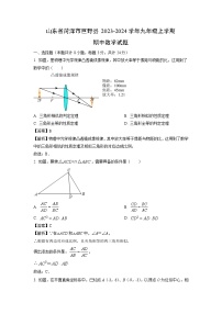 2023~2024学年山东省菏泽市巨野县九年级(上)期中数学试卷(解析版)