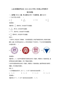 2023~2024学年山东省聊城市冠县八年级(上)期中数学试卷(解析版)