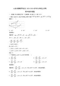 2023~2024学年山东省聊城市冠县九年级(上)期中数学试卷(解析版)