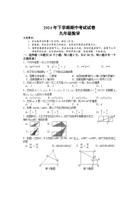 湖南省邵阳市武冈市2024-2025学年九年级上学期期中考试数学试题