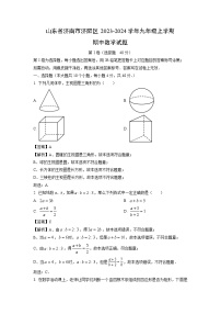 2023~2024学年山东省济南市济阳区九年级(上)期中数学试卷(解析版)