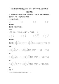 2023~2024学年山东省济南市槐荫区八年级(上)期中数学试卷(解析版)