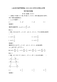 2023~2024学年山东省济南市槐荫区九年级(上)期中数学试卷(解析版)