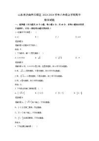 2023~2024学年山东省济南市天桥区八年级(上)期中数学试卷(解析版)