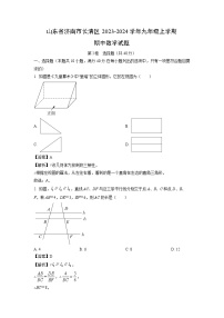 2023~2024学年山东省济南市长清区九年级(上)期中数学试卷(解析版)