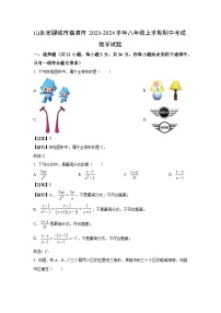 2023~2024学年山东省聊城市临清市八年级(上)期中考试数学试卷(解析版)