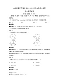 2023~2024学年山东省临沂市费县九年级(上)期中数学试卷(解析版)