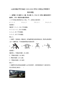 2023~2024学年山东省临沂市沂南县八年级(上)期中数学试卷(解析版)