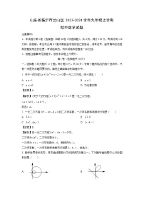 2023~2024学年山东省临沂市兰山区九年级(上)期中数学试卷(解析版)