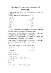 2023~2024学年山东省临沂市兰陵县九年级(上)期中数学试卷(解析版)