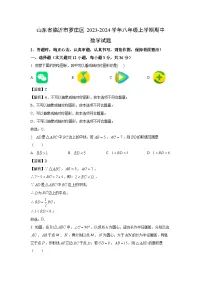 2023~2024学年山东省临沂市罗庄区八年级(上)期中数学试卷(解析版)