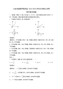 2023~2024学年山东省淄博市张店区九年级(上)期中数学试卷(解析版)