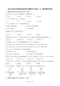 2024～2025学年湖北省宜昌市夷陵区九年级(上)期中数学试卷(含答案)