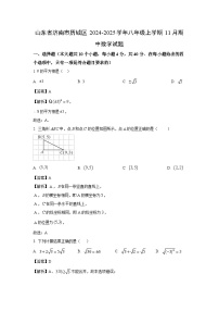 2024~2025学年山东省济南市历城区八年级(上)11月期中数学试卷(解析版)