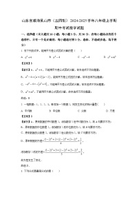2024~2025学年山东省威海乳山市(五四制)八年级(上)期中考试数学试卷(解析版)