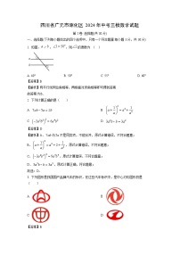 2024年四川省广元市昭化区中考三模数学试卷(解析版)