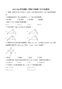 安徽省六安市汇文中学2023-2024学年上学期八年级第二次月考数学试卷