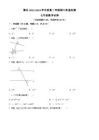 安徽省宿州市萧县2023-2024学年七年级下学期期中数学试题（原卷版+解析版）