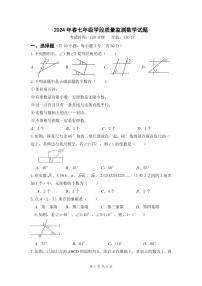 四川省广元市苍溪县2023-2024学年七年级下学期期中考试数学试卷