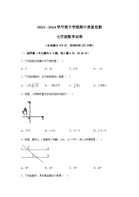 江西省宜春市高安市2023-2024学年七年级下学期期中数学试题(含解析)
