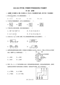 广东省深圳市宝安区宝安中学2023-2024学年下学期八年级数学期中试题