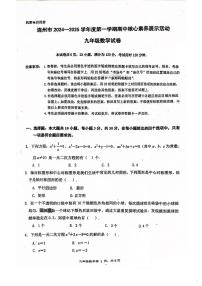 广东省清远市连州市2024-2025学年上学期期中考试九年级数学试卷