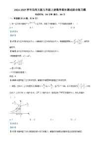 2024-2025学年北师大版九年级上册数学期末测试综合练习题（解析版）-A4