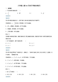 北师大版2024-2025学年八年级数学上册月考综合练习（解析版）-A4