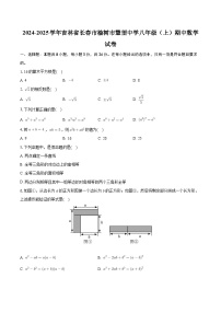 吉林省长春市榆树市慧望初级中学2024—2025学年上学期八年级期中数学试卷