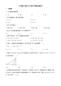 北师大版2024-2025学年八年级数学上册月考综合练习（原卷版）-A4