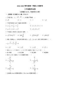 广东省广州市白云区2022-2023学年八年级上学期月考数学试题（原卷版）-A4
