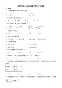 河北省石家庄市2023-2024学年北师大版八年级上学期数学期末考试试卷-A4