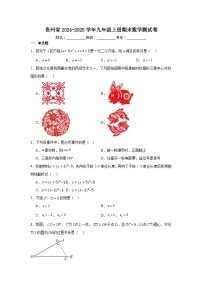 贵州省2024-2025学年九年级上学期期末数学测试卷