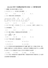 2024-2025学年广东省清远市连州市七年级（上）期中数学试卷（含解析）