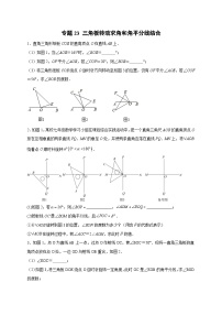 北师大版数学七上期末考点提升练习专题23 三角板转动求角和角平分线结合（2份，原卷版+解析版）